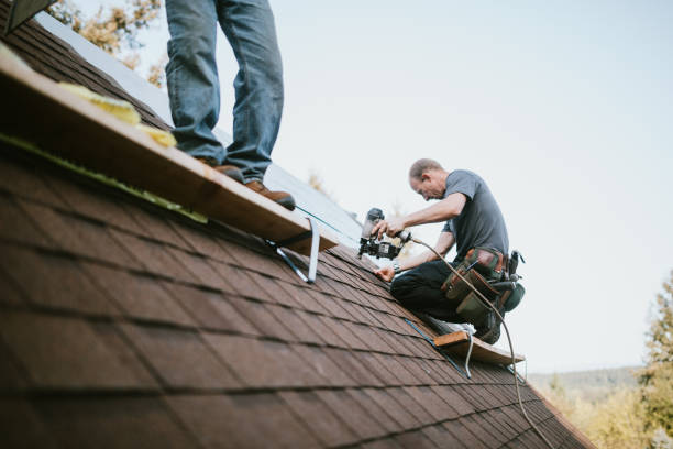 Best Roof Gutter Cleaning  in Richmond, KY